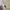 Kaos Outdoor Merrell Baselayer Grey Adem Lembut Hiking Trekk photo 4