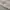 Kaos Outdoor Merrell Baselayer Grey Adem Lembut Hiking Trekk photo 6