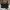 Women’s Handbag Balen Rodeo M photo 2