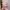 Bunny Doll photo 1