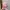 Bunny Doll photo 3