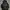 Hodie Oversize