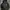 Hodie Oversize