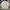 LONGSLEVE BASELAYER MARMOT LOGO photo 2