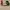 Minimalist Casual Sneakers Wanita multicolor white green red photo 3