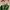 Minimalist Casual Sneakers Wanita multicolor white green red photo 5