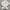 Hoodie MLB NY YANKEES photo 1