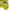 Polham Streetwear Sportswear Windbreaker Wanita green photo 6