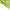 Polham Streetwear Sportswear Windbreaker Wanita green photo 4
