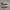 Sepatu Low Converse Chuck Taylor photo 1
