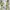 Drees couple mom and kids photo 1