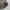 Jcb grafitii cargo pants photo 6