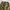 Unknown brand cargo pants photo 6