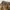 Unknown brand cargo pants photo 7