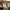 Unknown brand cargo pants photo 8