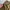 Unknown brand cargo pants photo 5