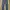 Levi’s Original 501 Straight Button-Fly photo 3