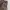 Nii canvas cargo pants photo 4