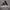 Hoodie Adidas Big Logo photo 2