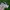 Streetwear Casual Wristlet Wanita white black photo 4
