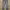 Levi’s 527 Low Bootcut photo 2