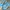 Vintage Sportswear Windbreaker Pria cream blue photo 7