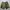HINSON short cargo pants size 30 photo 5