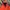 Carhartt Gorpcore Hoody Pria orange photo 4