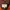 Carhartt Gorpcore Hoody Pria orange photo 6