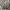 Carhartt Casual Sweatshirt Pria brown photo 5