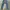 Denim & Supply By Ralph Lauren Slim Distressed Faded Denim P photo 5