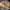 Carhartt Streetwear Formal shirt Pria tan photo 4