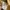 Carhartt Streetwear Formal shirt Pria tan photo 5