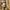 Carhartt Streetwear Formal shirt Pria tan photo 8