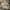 Carhartt Streetwear Formal shirt Pria tan photo 1