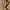 Carhartt Streetwear Formal shirt Pria tan photo 6