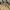 Carhartt Streetwear Formal shirt Pria tan photo 2