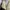 Vintage Y2K Trench coat Wanita tan brown photo 3