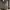 Vintage Y2K Trench coat Wanita tan brown photo 4