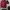 LMC Text Logo Half Zip Sweatshirt photo 1