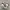 Converse Chuck 70s Digital Trail Ghillie Lace White Original photo 1