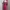 Coquette Casual Casual dress Wanita pink photo 2