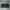Michael Kors Large Logo Continental Wallet  photo 3