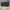 Michael Kors Large Logo Continental Wallet  photo 1