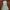 Green Midi Dress photo 1