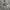 MLB Streetwear Sportswear T-shirt Pria gray photo 1