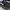 VANS SK8 LOW CONTRAS photo 2