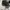 VANS SK8 LOW CONTRAS photo 6
