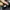 VANS SK8 LOW CONTRAS photo 7