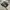 NIKE P-6000 SHADOW GREY photo 1